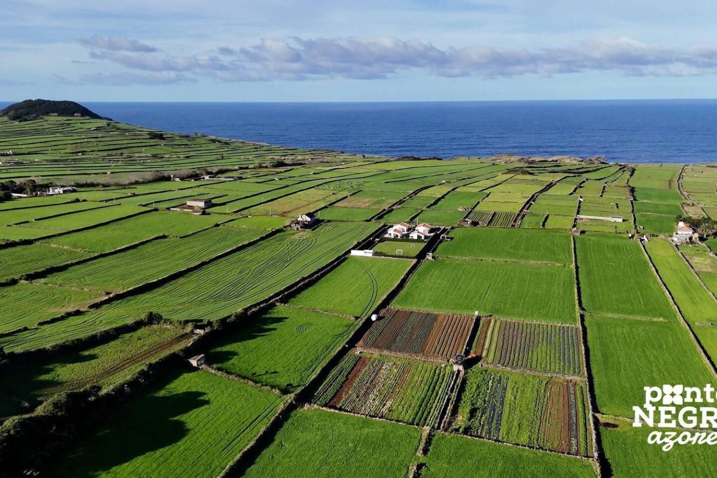 Wine House By Ponta Negra Azores Altares Kültér fotó